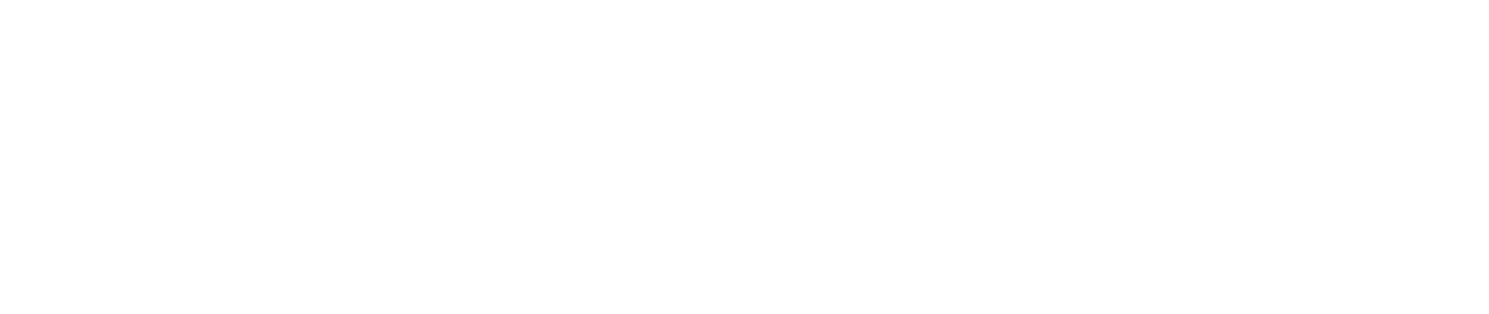 PEAK Fan Insights logo